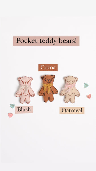 Valentine Pocket Teddy Bear